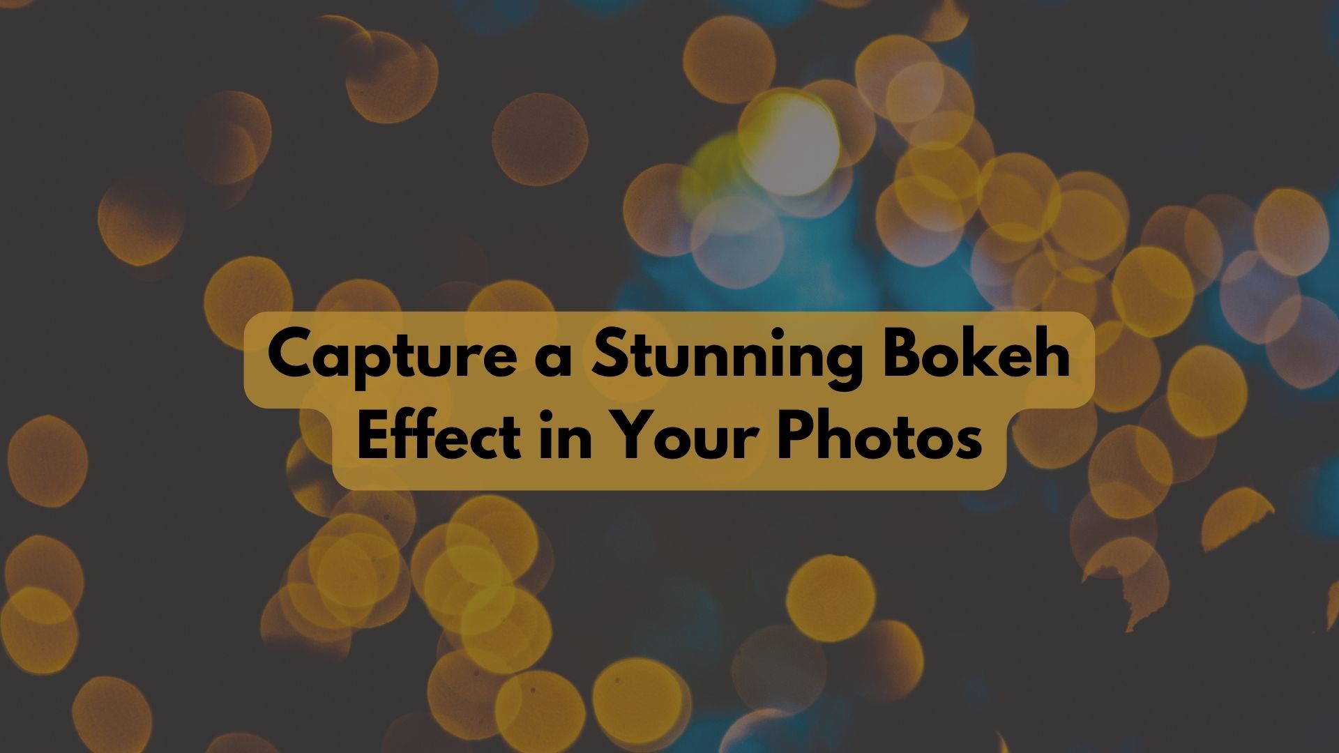 How to Capture a Stunning Bokeh Effect in Your Photos?